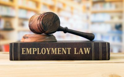What is Employment Law?